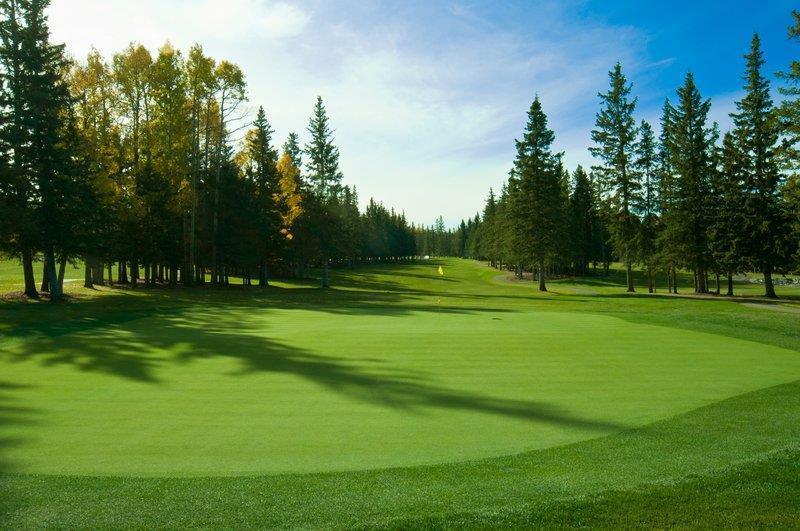 Mountain View Inn & Suites Sundre Esterno foto
