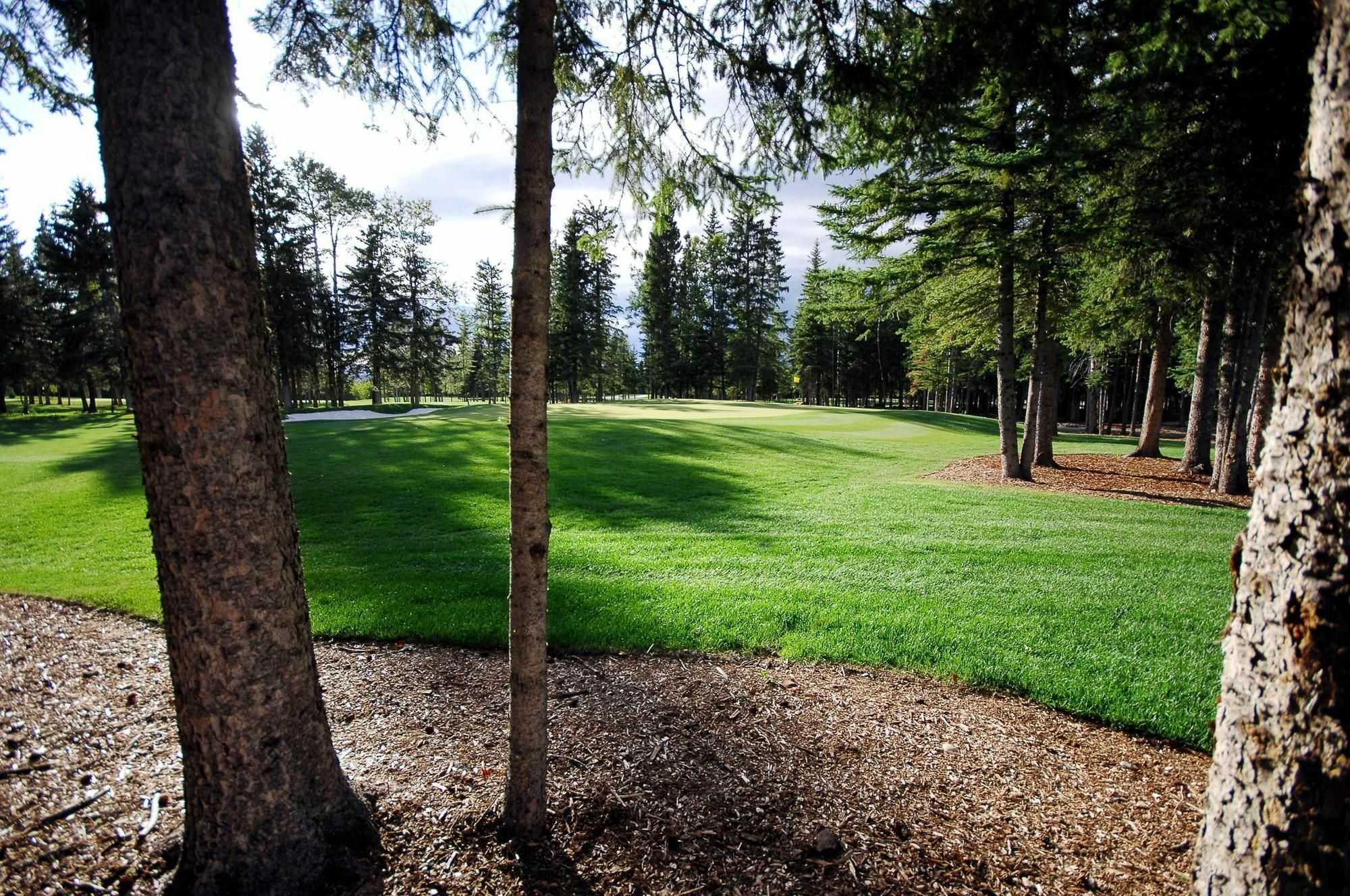 Mountain View Inn & Suites Sundre Esterno foto